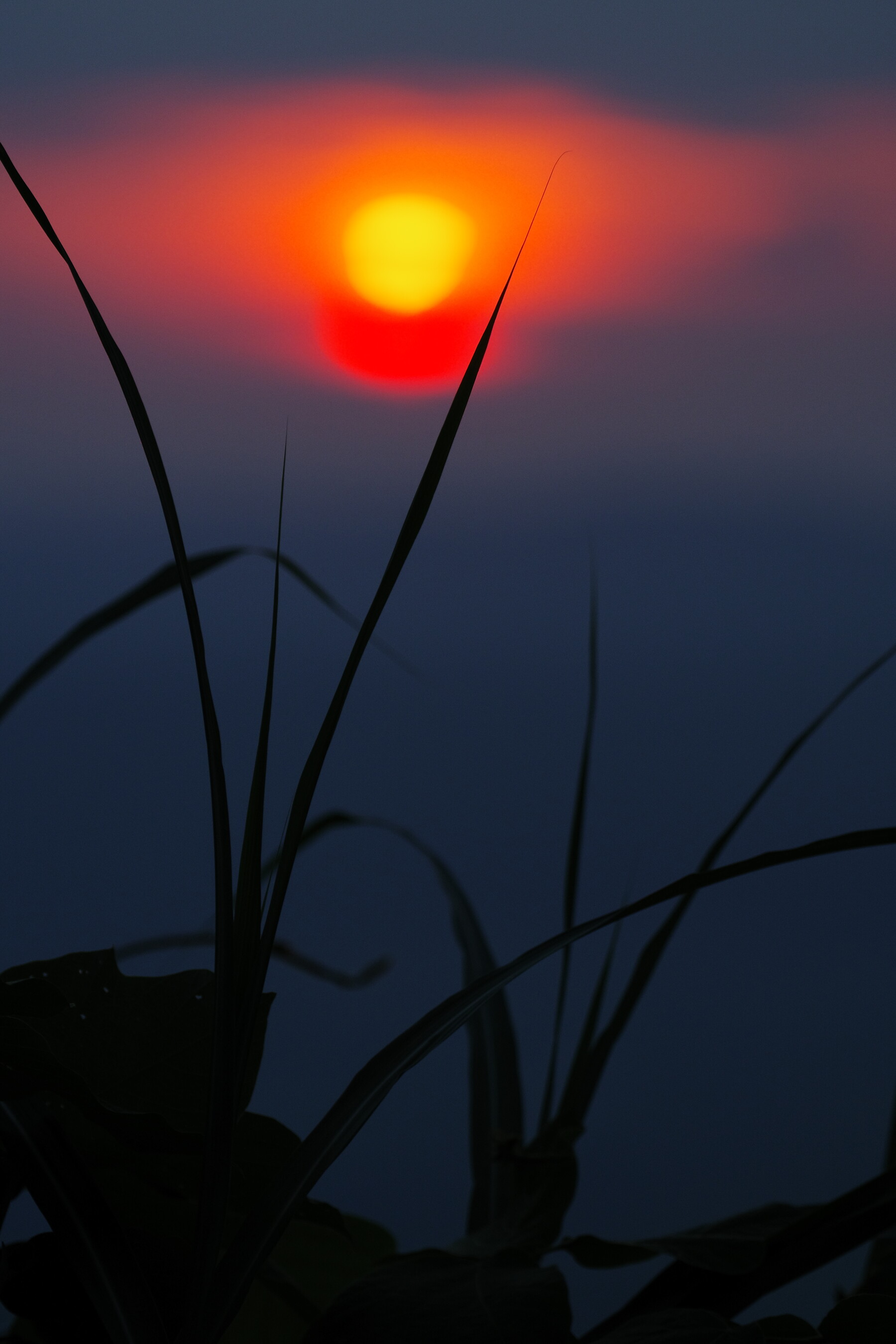 能登の海に溶けゆく太陽の作例写真