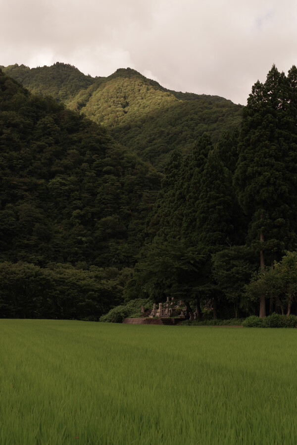 PENTAXで切り取る世界遺産 ─ 五箇山集落とその周辺（富山県南砺市）の写真