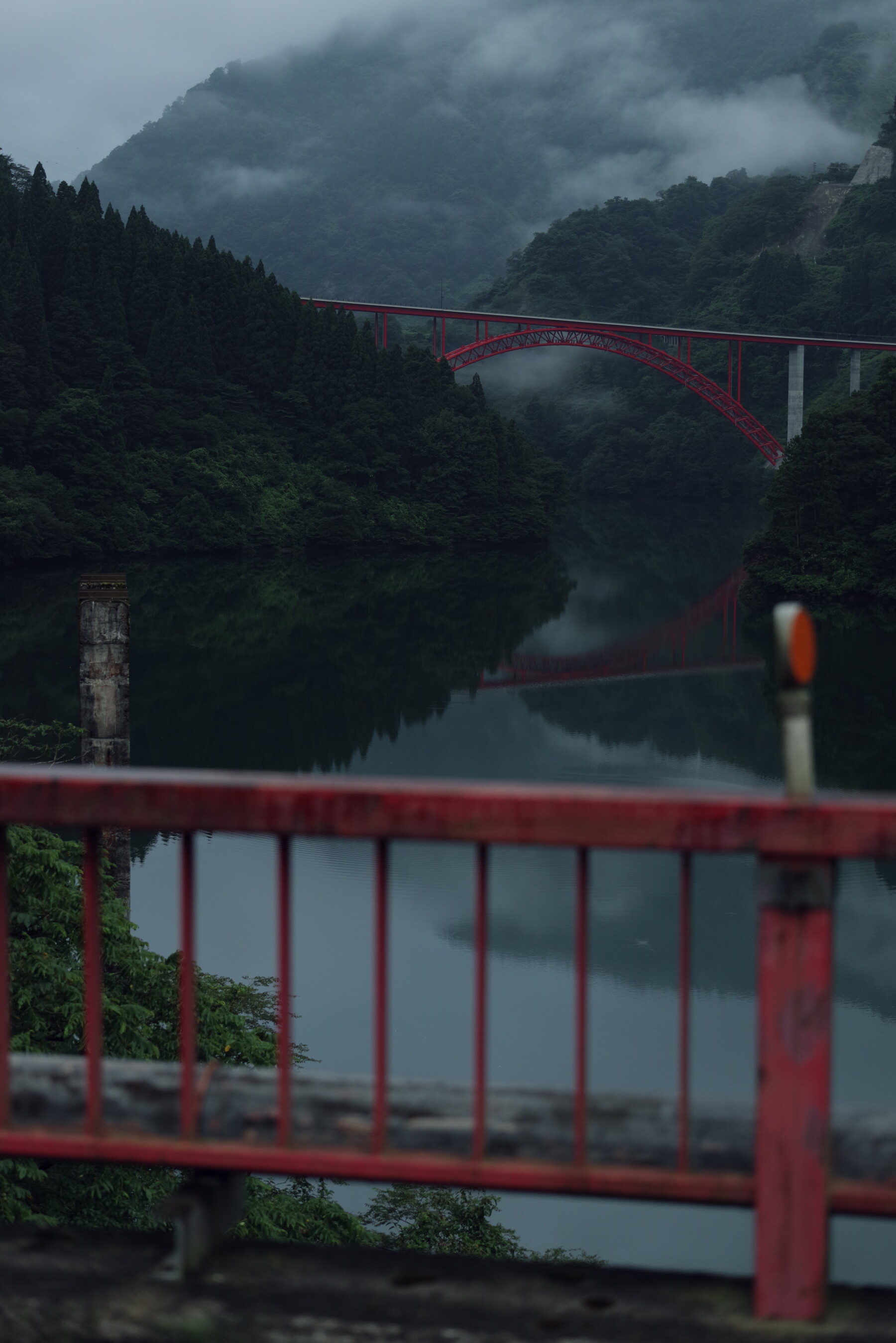霧の峡谷（利賀大橋：富山県南砺市）の作例写真