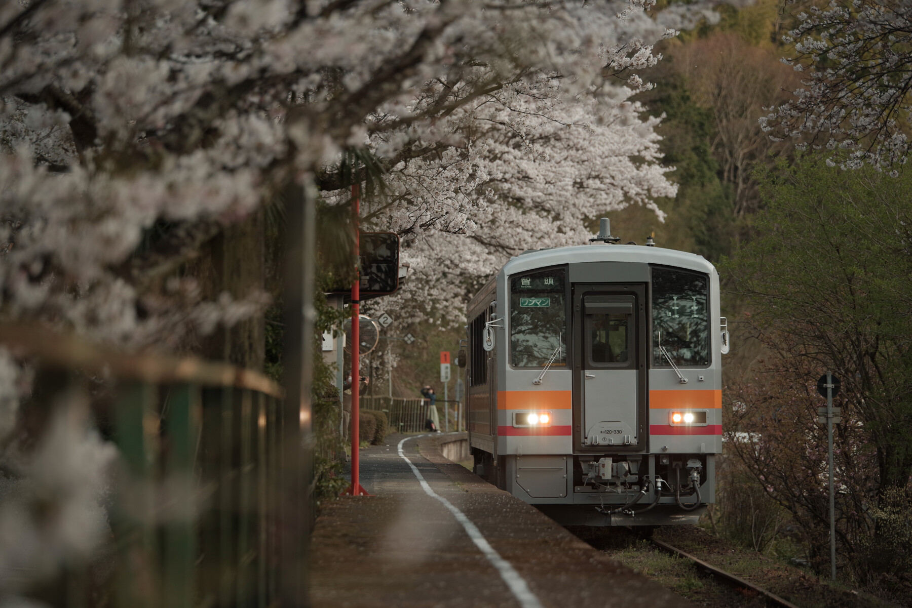 因美線三浦駅の桜の作例写真