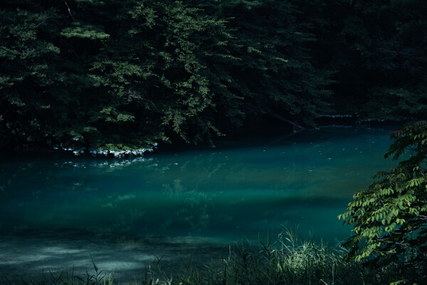 その名の通り深い青を湛える青沼（福島県五色沼）の作例写真