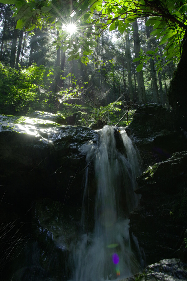 朝日を浴びる夏の渓流の作例写真