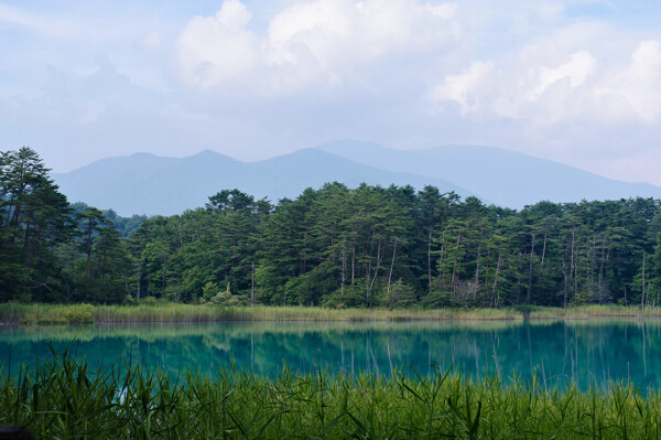 夏の弁天沼と吾妻連峰の作例写真