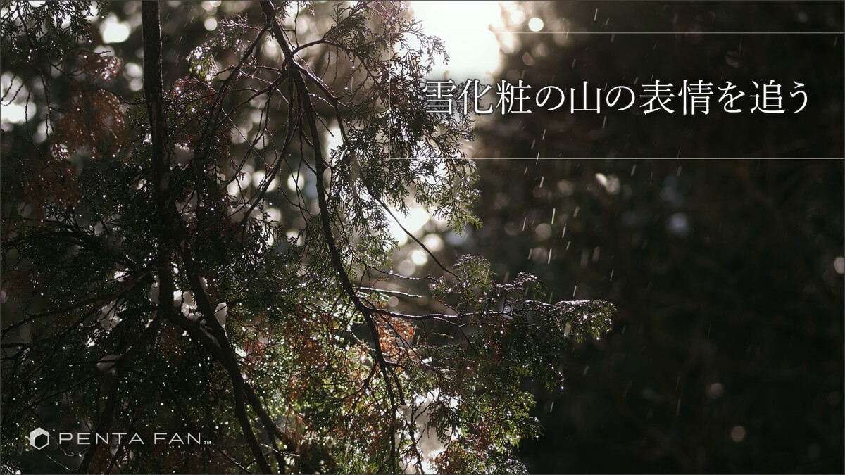 【雨にうたえば：番外編】雪に躍る森の風景 ─ 埼玉県武甲山（秩父市・横瀬町）