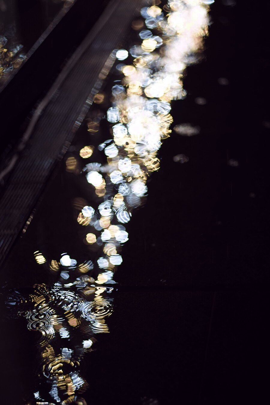 雨に唄えば街明かりの作例写真