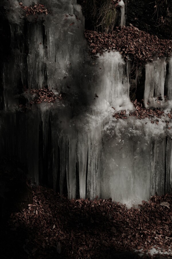 枯れ葉と氷の作例写真